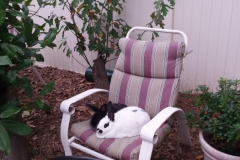 Chair