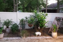 Garden Pic