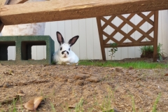 Hanging out
