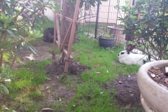 Garden Chillin