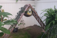 BIrd House
