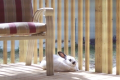 Sunlight on a Porch