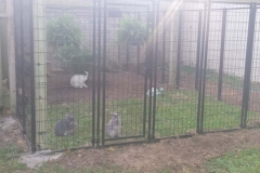 20170417_065301