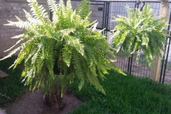 20170516_090141