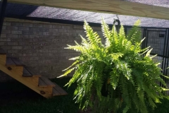 20170516_090145