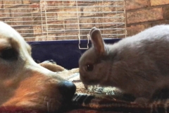 Madison and Cassey