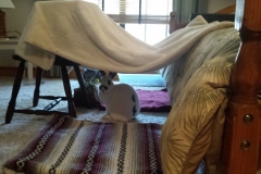 rainy day forts